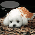 Đa Đa