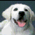 La_Phong