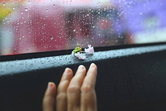 (chưa có ảnh)
