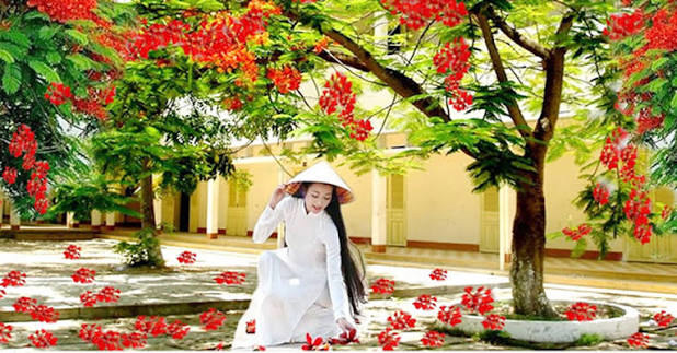 (chưa có ảnh)