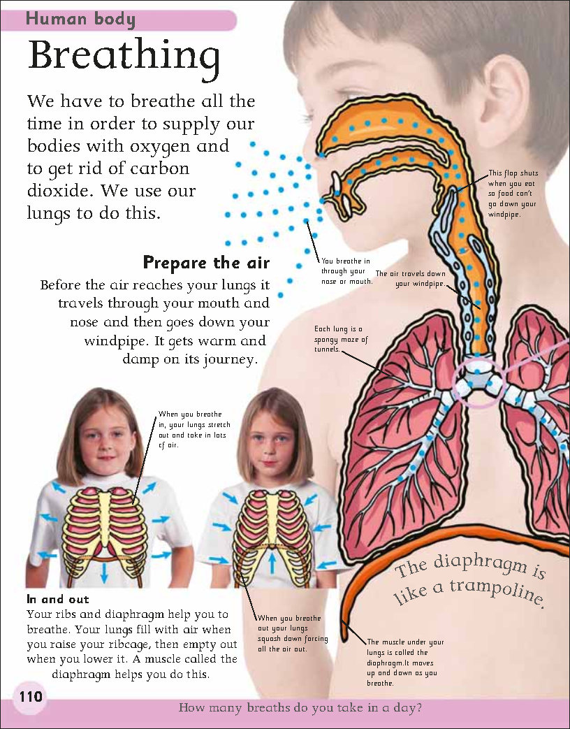 First Childrens Encyclopedia
