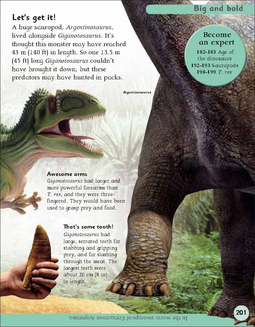 First Childrens Encyclopedia