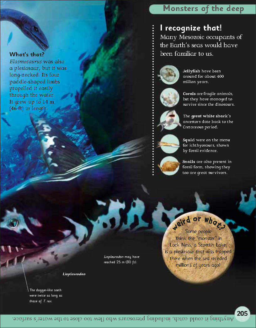 First Childrens Encyclopedia