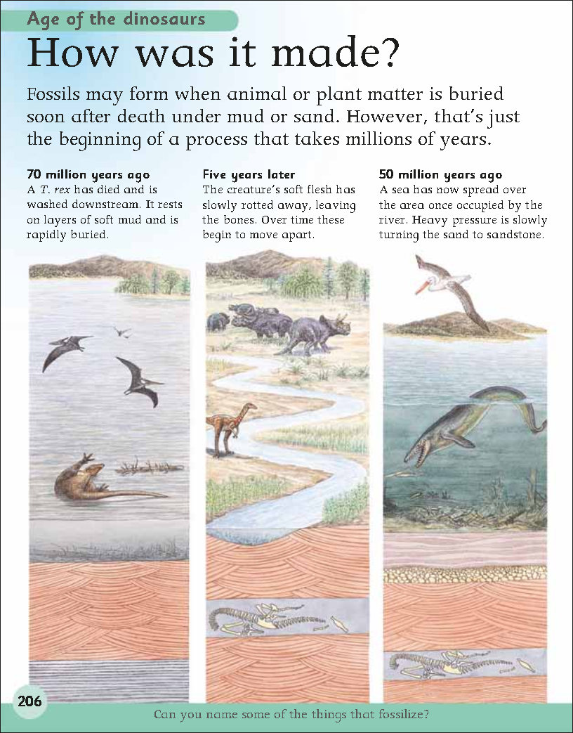 First Childrens Encyclopedia