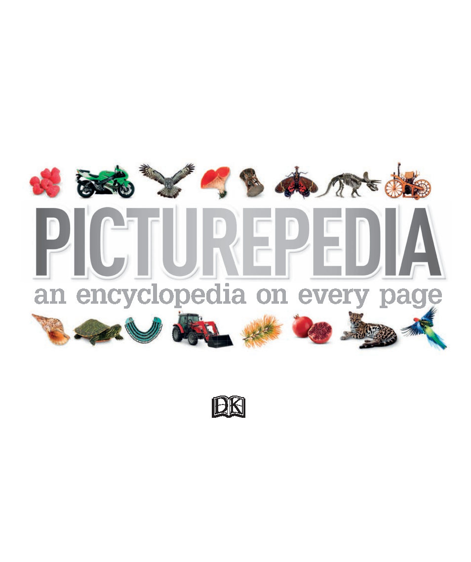 Picturepedia An Encyclopedia on Every Page